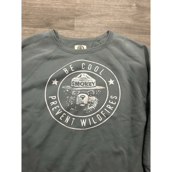 Smokey Bear Women's Sweatshirt L Be Cool Prevent Wildfires Grayson Threads Boxy - Picture 2 of 13